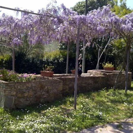 Debbione Maro' Suvereto